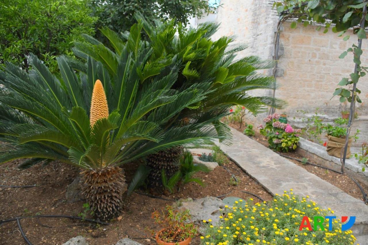 Villa Trullo Al Vicoletto Al Civico 10, Civico 8, Civico 7 Alberobello Exterior foto