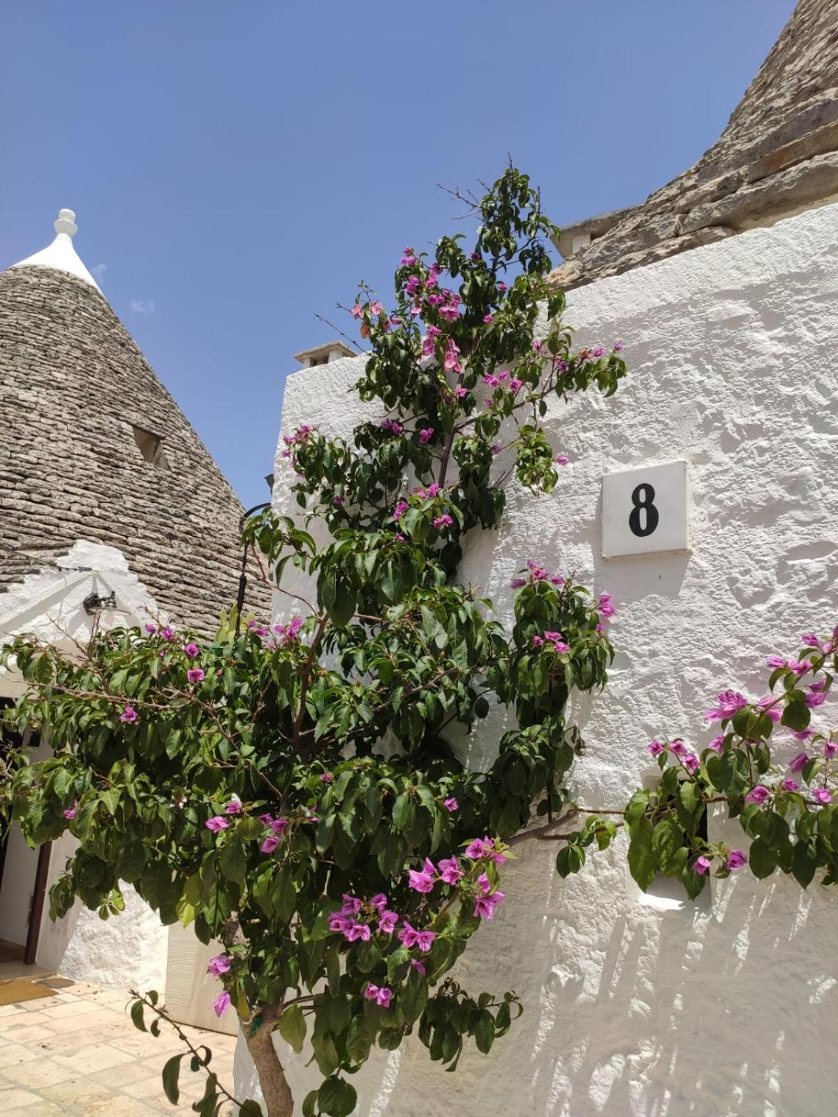 Villa Trullo Al Vicoletto Al Civico 10, Civico 8, Civico 7 Alberobello Exterior foto